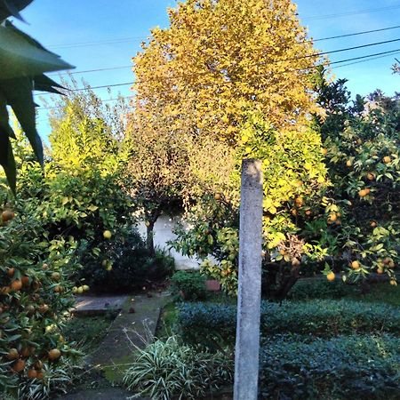 Casa Xantarim Bed & Breakfast Santarem Exterior photo